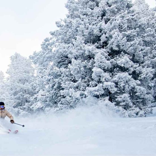 Image courtesy of Mogul Ski