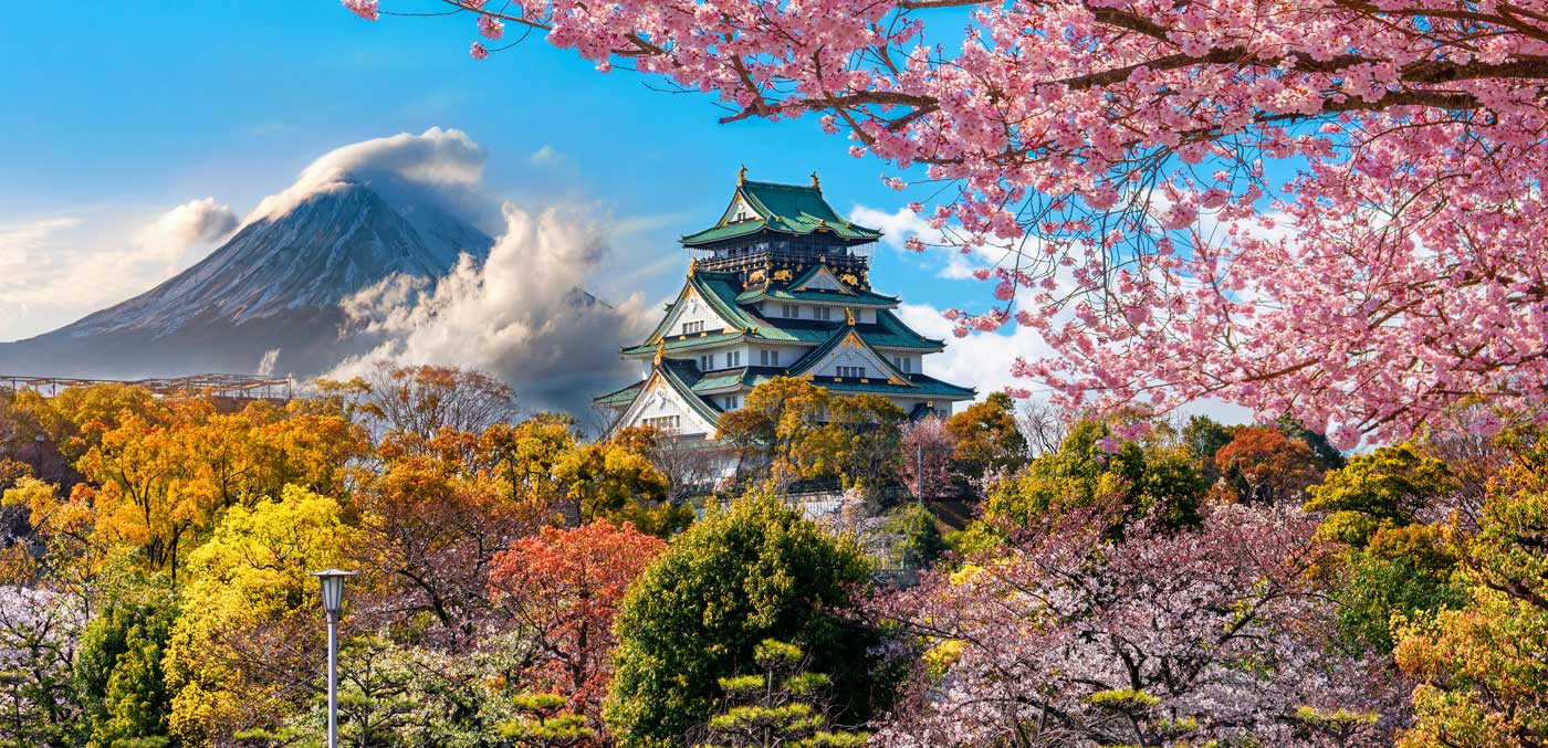 Osaka Castle and full cherry blossom, with Fuji mountain background, Japan.