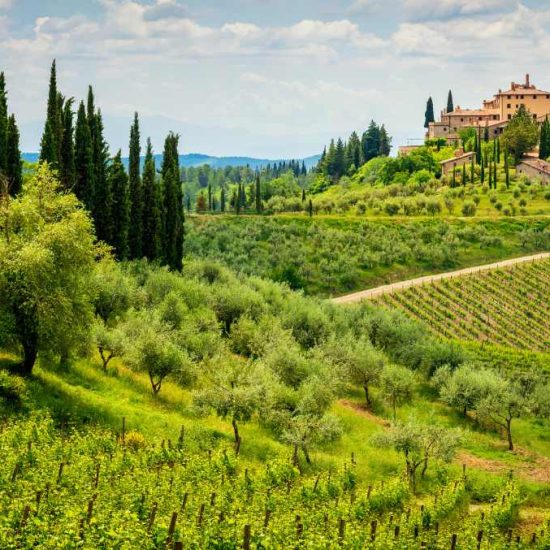 Chianti region in Tuscany