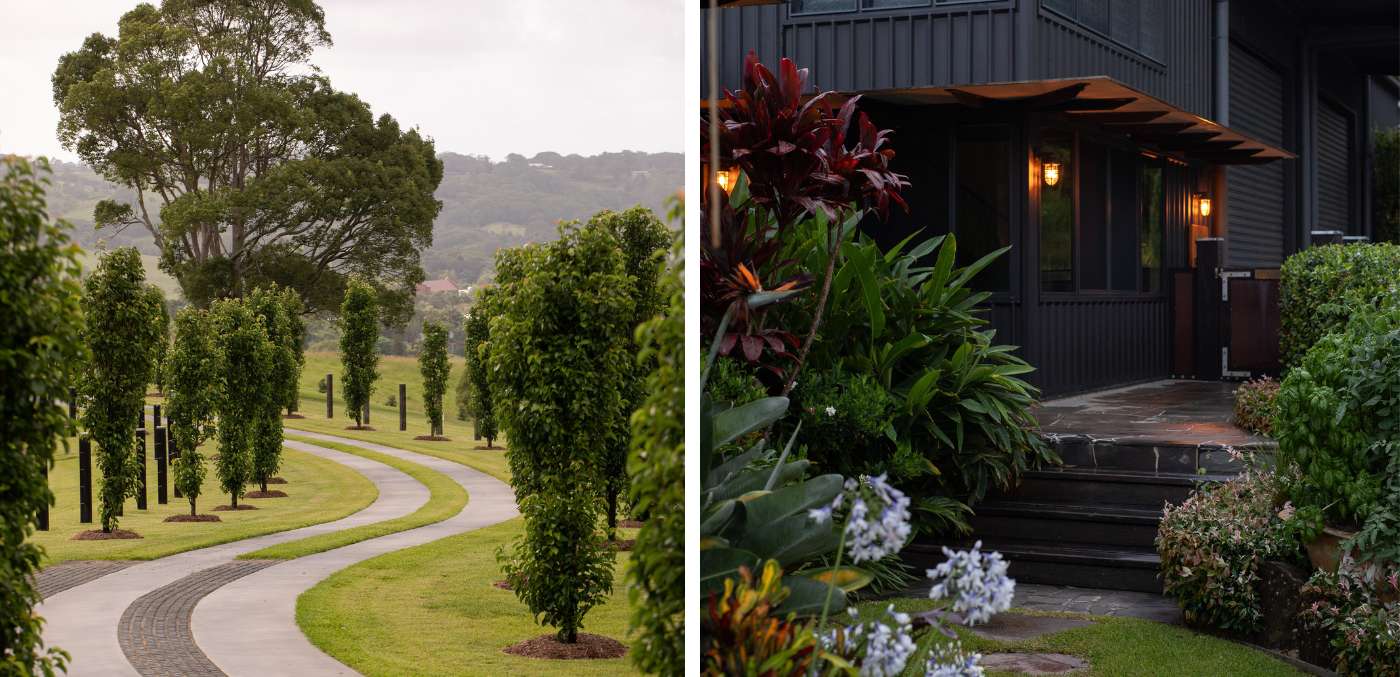 Driveway and gardens at Amaroo Bangalow