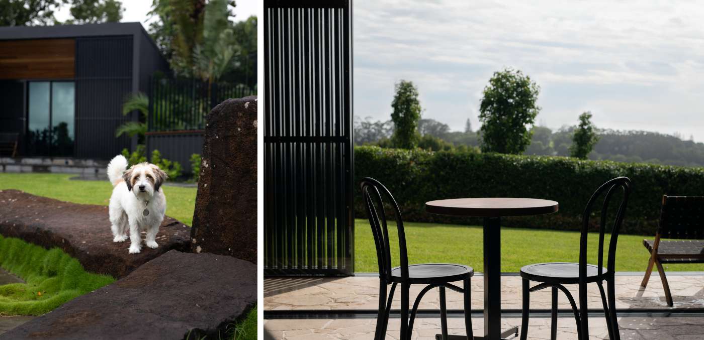 Dog and seating area at Amaroo Bangalow