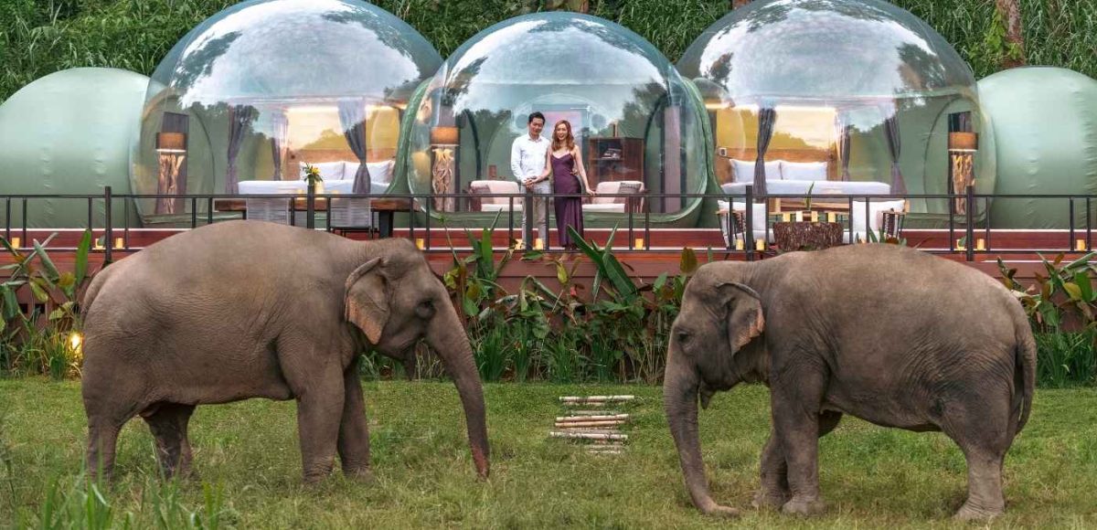 © Anantara Golden Triangle Elephant Camp Resort