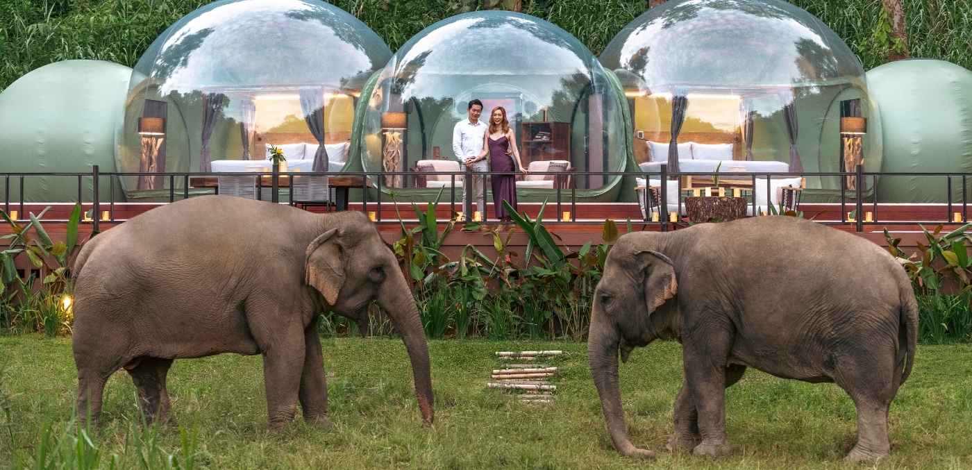 © Anantara Golden Triangle Elephant Camp Resort
