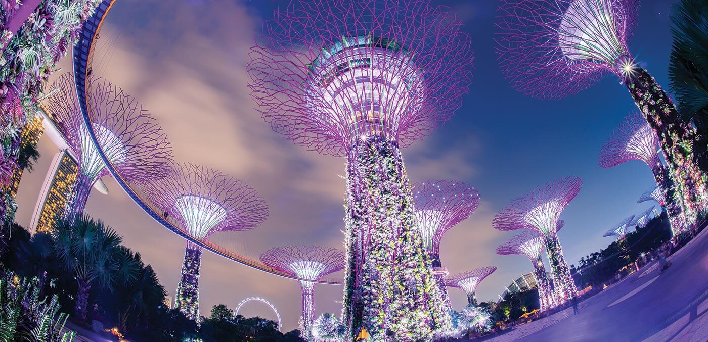 Night view of The Supertree Grove at Gardens by the Bay