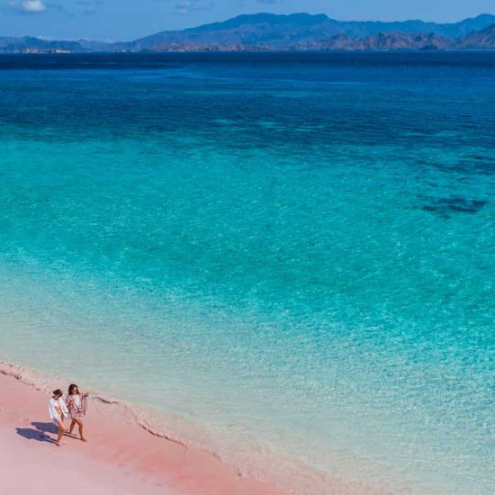 Pink Beach, Komodo Island