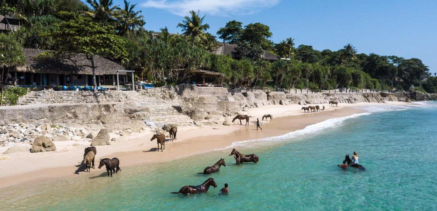 Horses swimming in the ocean with people