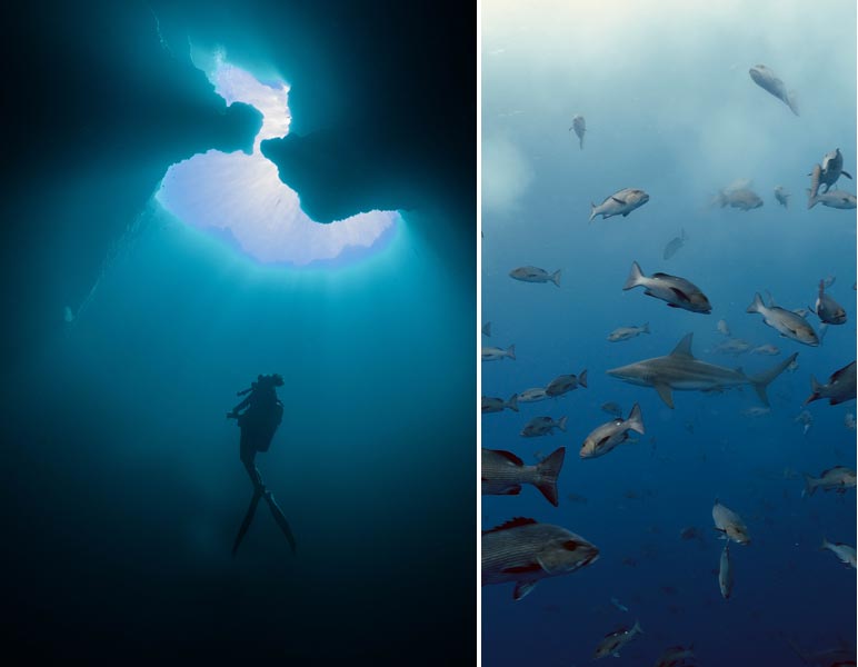 Exploring the Blue Holes in Palau