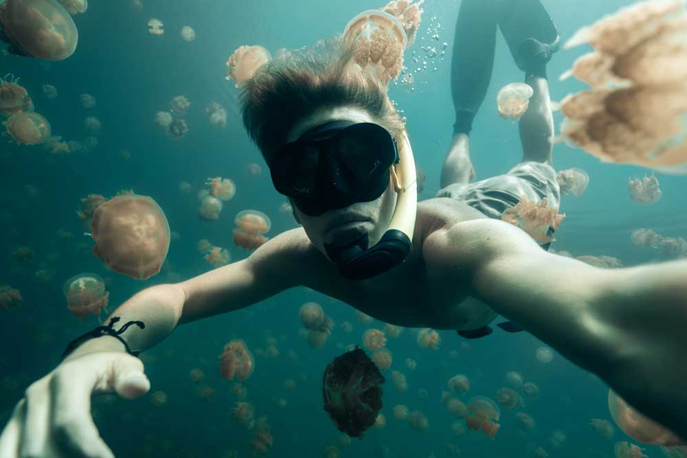 Jellyfish Lake in Palau