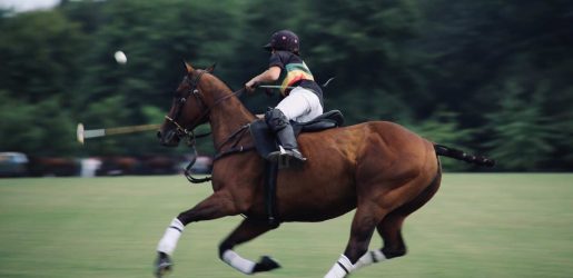 horse polo
