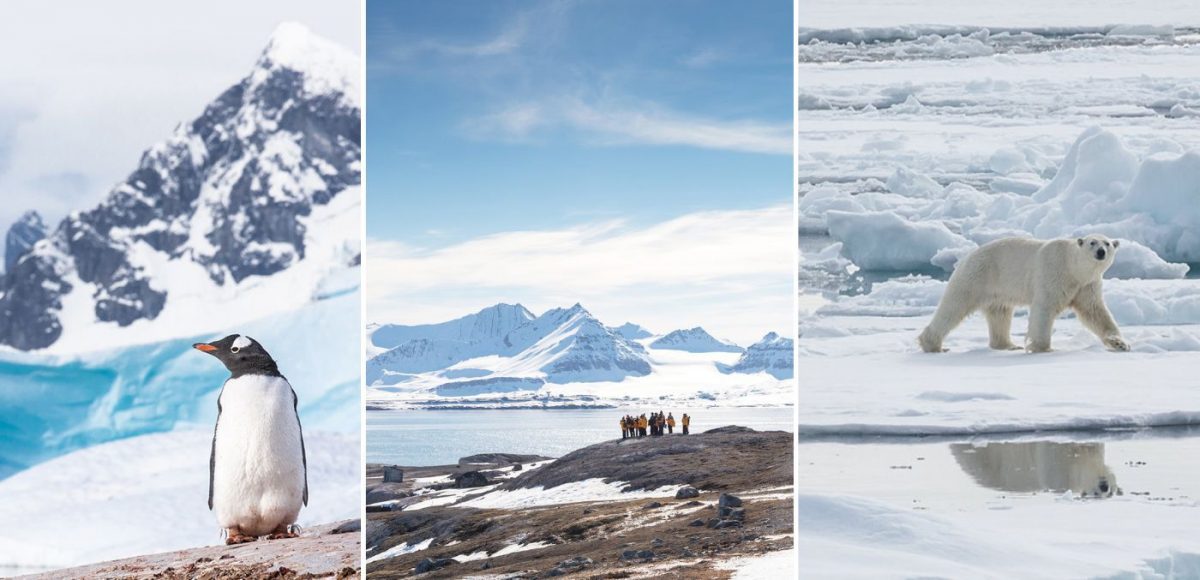 Quark Expeditions_embark on an Arctic or Antarctica cruise