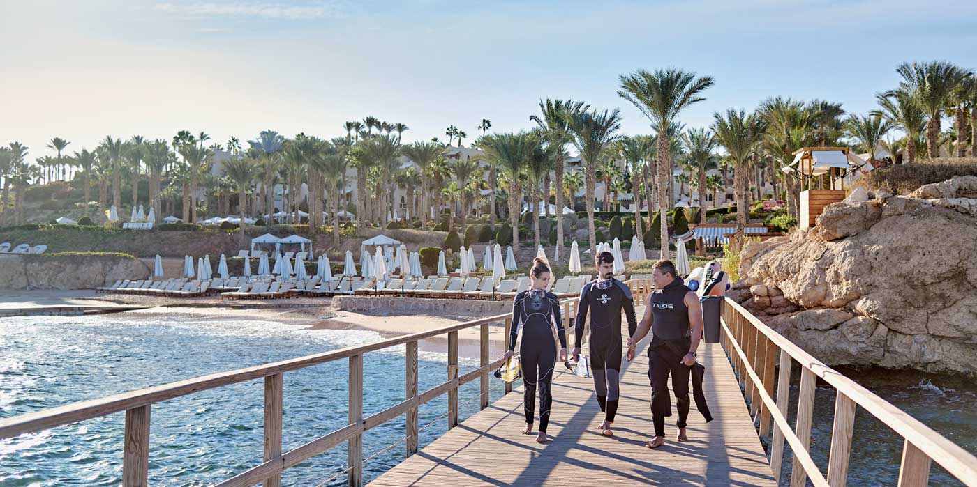 Diving the in the Red Sea with Four Seasons