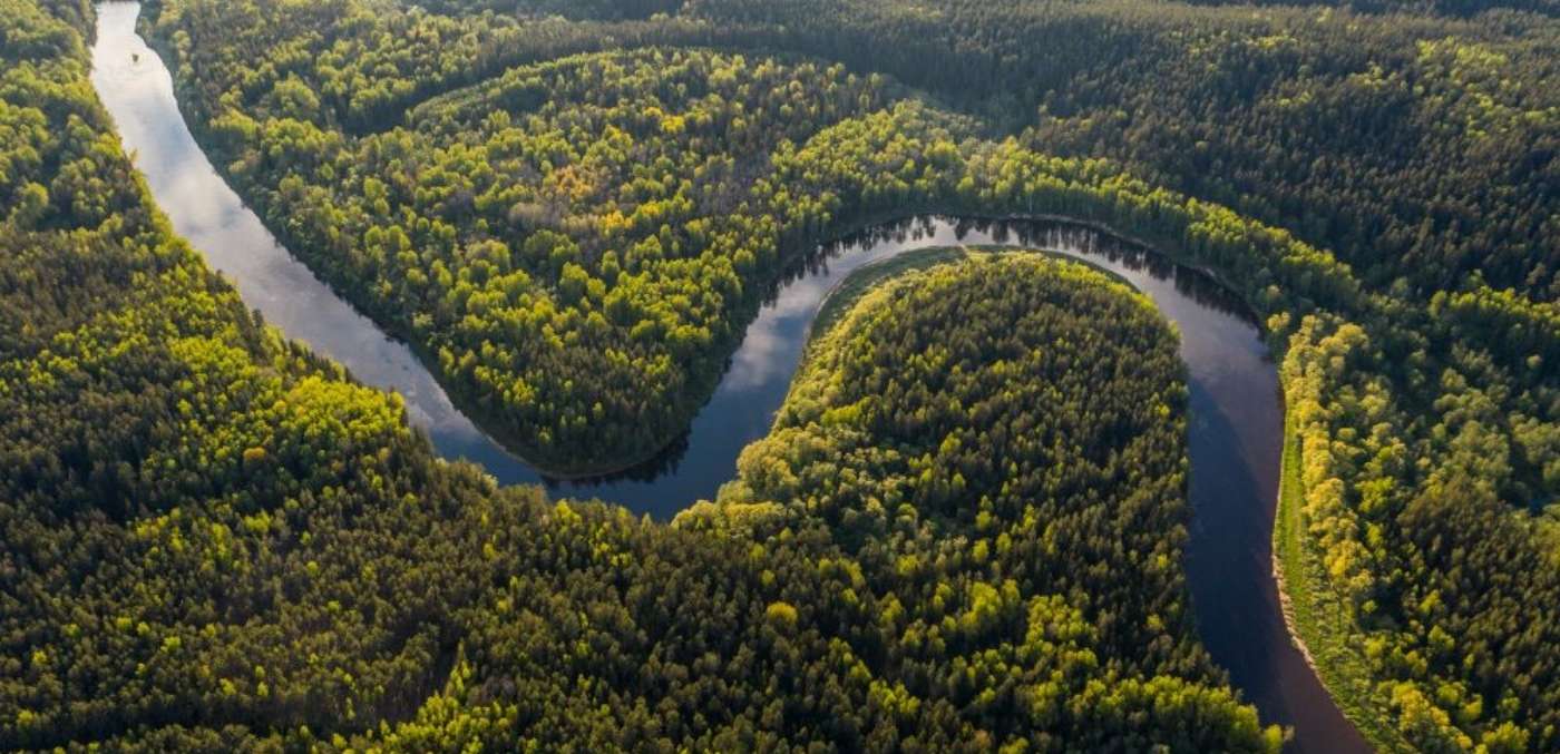The Amazon Rainforest and River