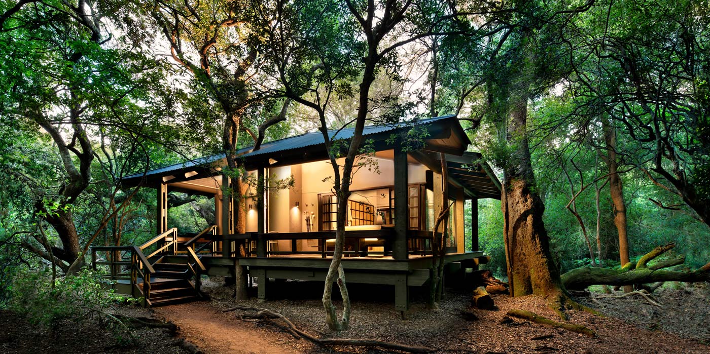 Forest Lodge at Phinda