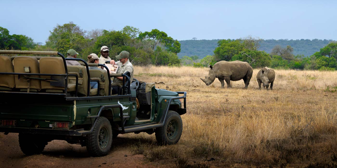 Phinda Private Game Reserve - Rhino and truck