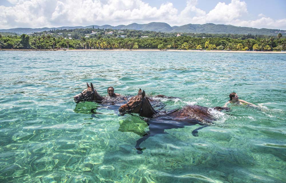 Half Moon Equestrian Centre's horses swimming in the water is an epic ocean adventure